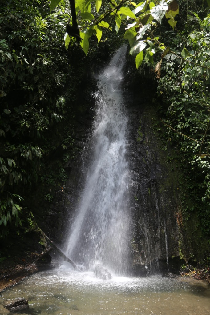 Río en la selva